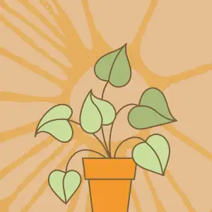 Flora Kfc