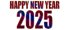 Volby 2025